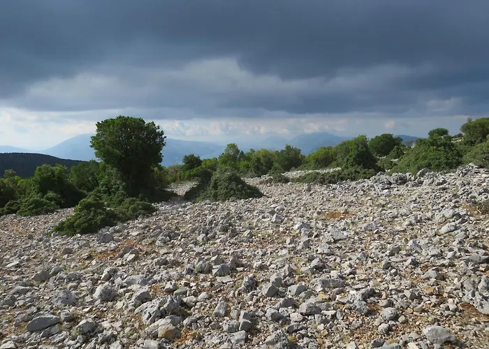Fotini Σάμη