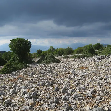 Fotini Σάμη